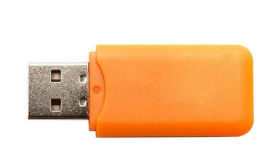 Japanese city worker loses USB containing personal details of every resident