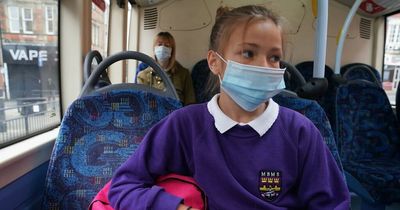 Nearly all children at secondary schools have Covid antibodies, figures show