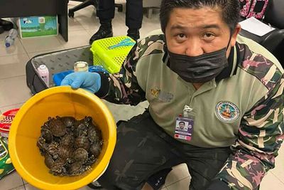 109 live wild animals found in luggage at airport