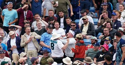 Barmy Army slam "violent behaviour" after crowd brawl during England vs New Zealand Test