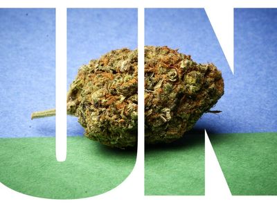 UN Report: Cannabis Legalization & COVID Lockdowns Boosted Daily Use, More Potent Weed & Psychiatric Disorders
