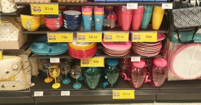 'I shopped Home Bargains latest Star Buys range and found picnic must-have's for under £5 - my top five picks'