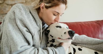 'Son's teacher told me off for 'extremely inappropriate' name we gave our puppy'