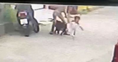 Boy, 2, left with broken jaw and 200 stitches after being attacked by pet Rottweiler