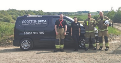 Firefighters called in to help rescue badgers trapped in Lanarkshire sewage tank