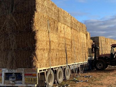 Hay help for farmers waiting for rain