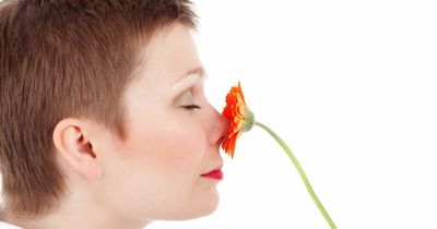 Friends at first sniff: Study finds people are drawn to others who smell like them
