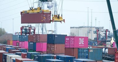 Imported food quality could suffer post-Brexit, says report