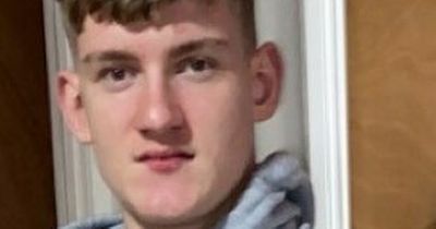 Gardai appeal for help in tracing missing Dublin teenager