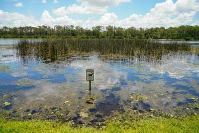 Man killed by alligator in South Carolina