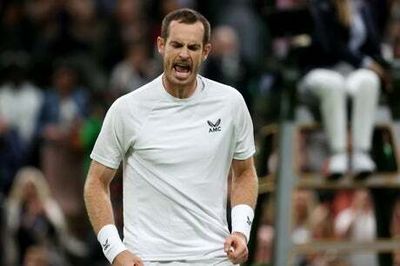 Wimbledon 2022: Andy Murray wins opener under floodlights with encouraging performance