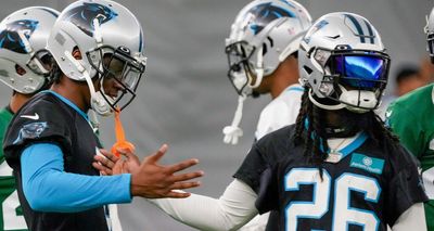 PFF gives ‘ascending’ Panthers secondary solid ranking