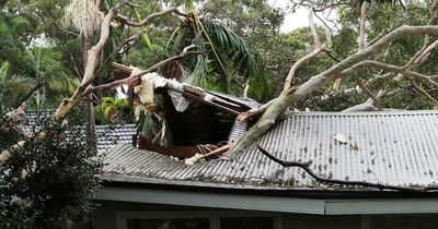 NRMA says inner suburbs hardest hit by wild weather