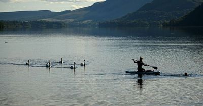 Geese dragged to their deaths by mystery underwater creature in the Lake District