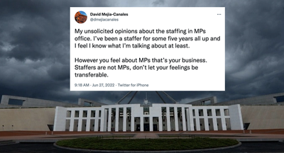 Confessions of a former staffer: Albanese cuts to crossbench staff is a ‘deliberate decision’ to block scrutiny