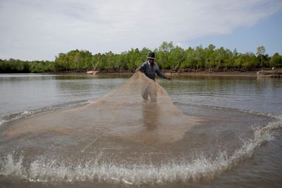 In Kenya, nearly a decade of mangrove restoration