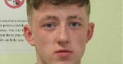 Spennymoor thug 'roundhouse' kicked police officer before knocking another unconscious at station