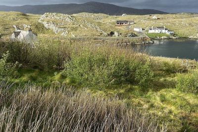 Couple announced as winners in Scotland's 'Tree Oscars' for 'patience and perseverance'