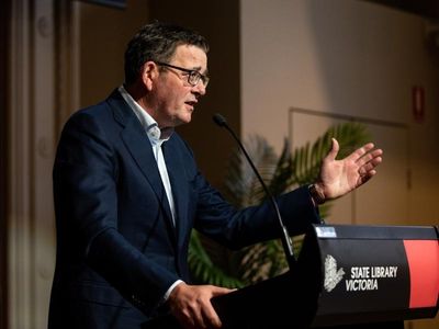 Andrews pins hospital woes on visa backlog