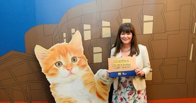 Cat charity's new campaign praised by Lanarkshire MSP
