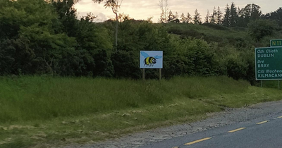 These big bee signs on Dublin main roads have a very simple meaning