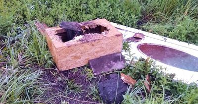 Body of dog found in nailed-shut wooden box at side of Scots road as death probe launched