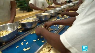 Cashew processing a tough nut to crack for Ivory Coast