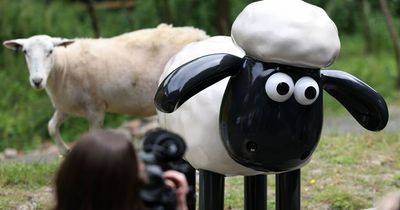 Shaun the Sheep revealed as the star of popular St Oswald's Hospice art trail in Newcastle