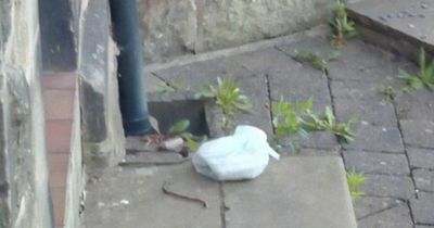 'My neighbour keeps leaving used nappies outside her house - it's disgusting'