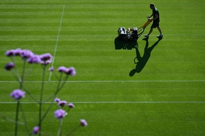 Wimbledon courts chief has global vision for tennis on grass