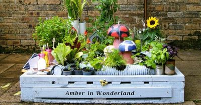 West Lothian school wins competition for poignant garden created in memory of former pupil