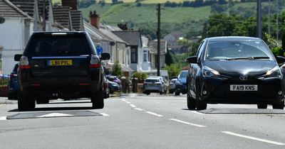 'Ridiculous and stupid': The speed bumps that have divided a village
