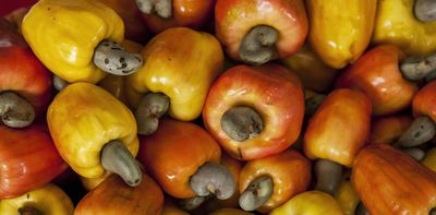 How Nigeria can turn its huge cashew waste into valuable citric acid