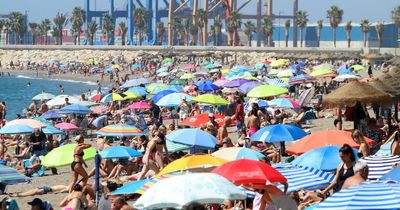 Spain holiday warning over 'critical increase' in mosquitoes, cockroaches and bedbugs