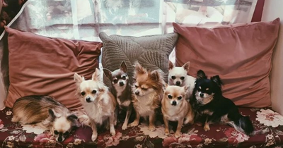 Edinburgh venue crowned Scotland's 'unique cafe of the year' at national awards