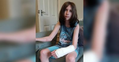 Boy, 13, chased through woods by dog before 'collapsing' at hospital