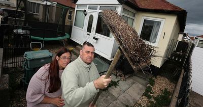 'Psycho seagulls' force family to be prisoners in their own home