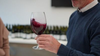 Researchers investigate how to produce premium, zero-alcohol wine as demand surges beyond Dry July