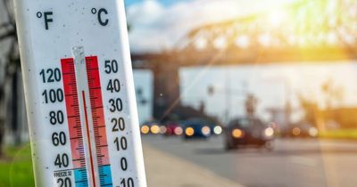 Distraught man who accidentally left son to die in scorching hot car kills himself