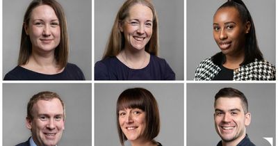 Law firm WSP appoints six new directors in succession project