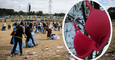 Glastonbury Festival clean-up: A poo in a bra in a tree - weirdest things found by litter pickers