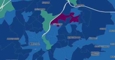 New Covid strain dominant in Bristol region as cases rise