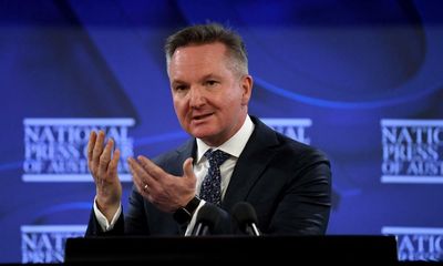 Chris Bowen to announce review of carbon credits system after expert labelled it a ‘fraud’
