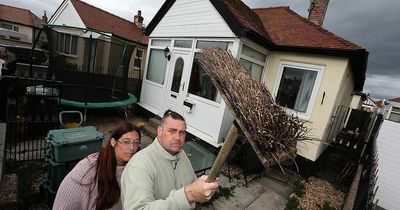 Family say they've been forced to tool up due to 'psycho' seagulls
