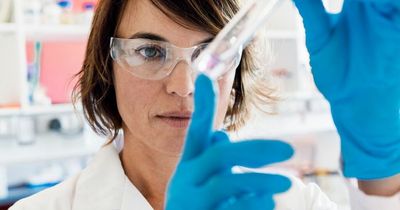 Glasgow chemistry data company buys French rival