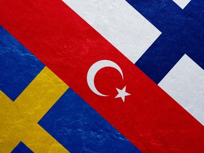 In Major Blow to Vladimir Putin, Turkey Backs Sweden, Finland Joining NATO