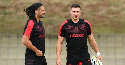 Wales' imminent decision on Taine Basham and Dan Lydiate will be very telling