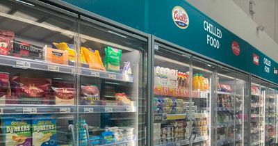 Poundland price change for all UK shops as it rolls out frozen and chilled range - full list