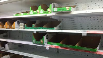 Australian egg producers say no shortages as consumers share photos of empty supermarket shelves