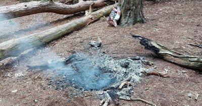 Fire 'deliberately' started in beauty spot